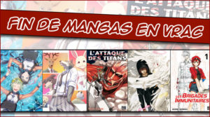 Fin de mangas en vrac !