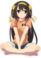 [La mélancholie de Haruhi Suzumiya] Haruhi Suzumiya